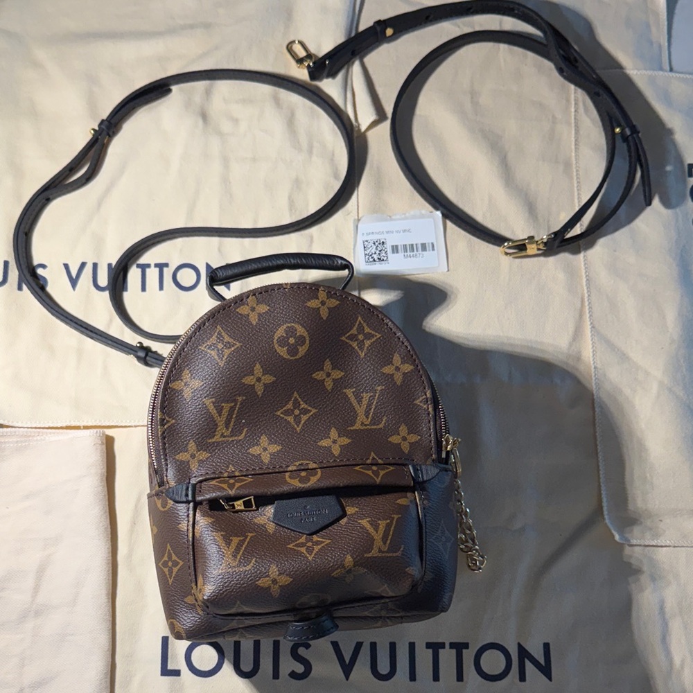 Louis Vuitton Monogram Canvas Palm Springs Backpack Mini